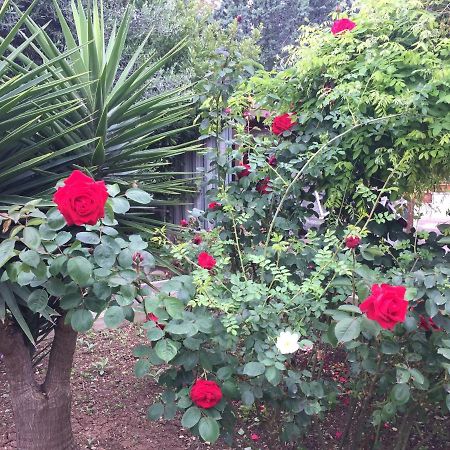 Il Giardino Della Foglia Hotel Bari Bagian luar foto